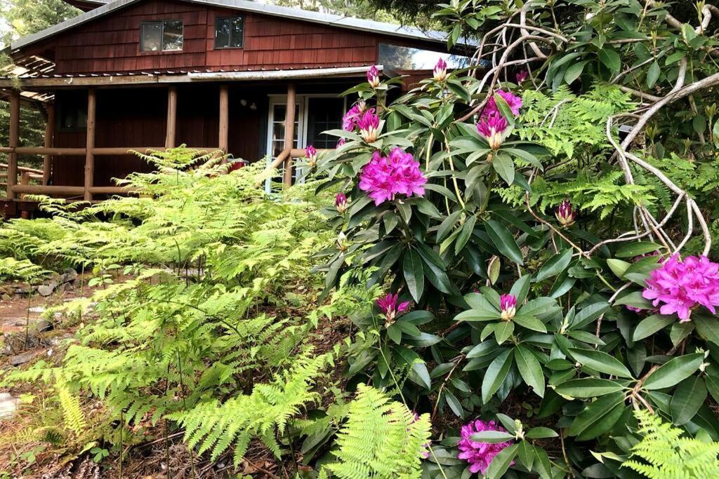 The Cabin In 팩우드 외부 사진